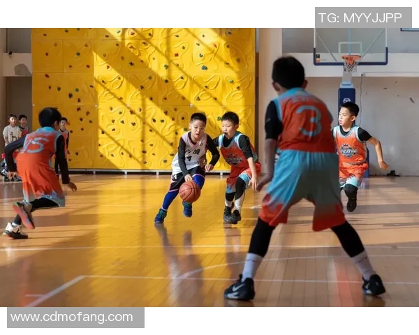 7岁孩子学习足球与篮球的优缺点分析及选择建议